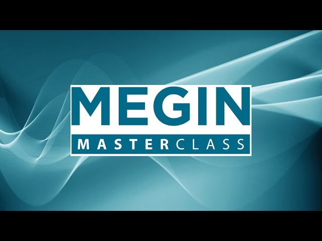 Analysing MEG data with MNE-Python and its ecosystem