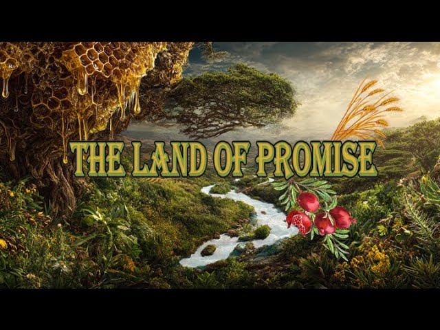 Sabbath Class: The Land of Promise: 01/10/2026