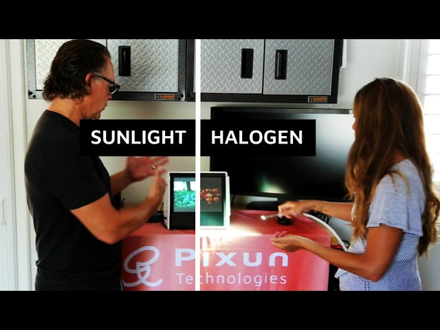 Pixun Basics: Sunlight In, Halogen When It's Not — A Casual Walkthrough