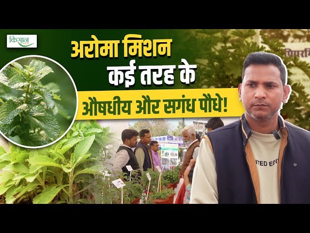 CSIR-CIMAP दे रहा है Medicinal और Aromatic की खेती को बढ़ावा | Aroma Mission | Herbs | Uttarakhand
