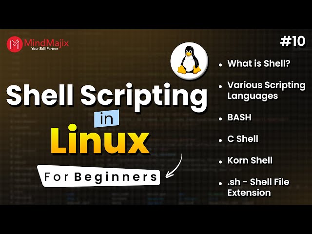 Shell Scripting in Linux For Beginners | BASH, C-Shell, Korn Shell Explained | MindMajix