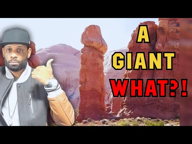 Mudfossil University on Trial: Are Rocks Really Giants & Dragons?