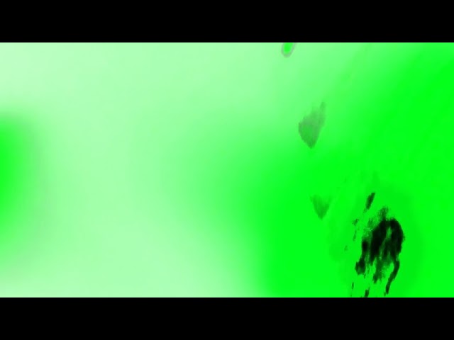 B2-4 Color Video cc0 license injected
