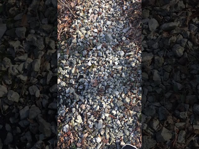 Delphi: The full raw uncut video recorded on Liberty German's iPhone 6s