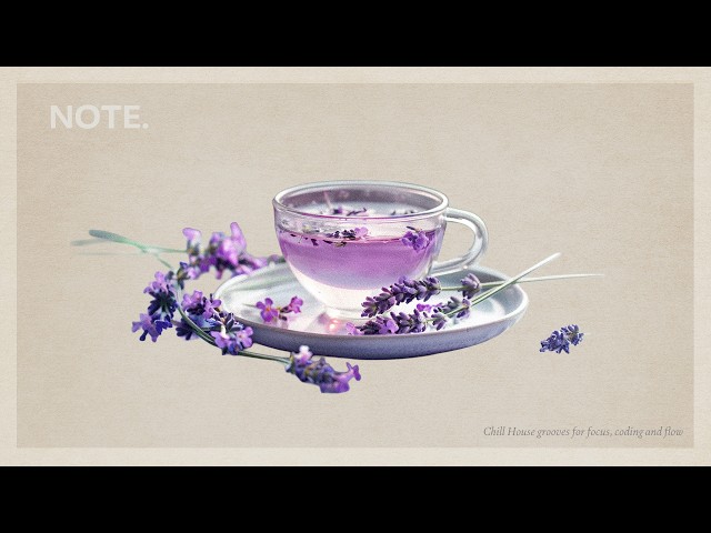 24/7  Chill House for a Calm Focus | NOTE. LIVE 7