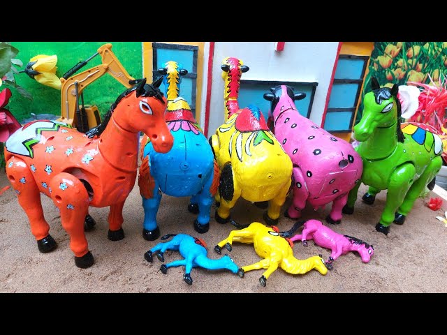 WADIDAU🤩💞‼️PROSES‼️POTONG SAPI🐄🦌🐫🐘‼️KURBAN‼️Sapi videos 982