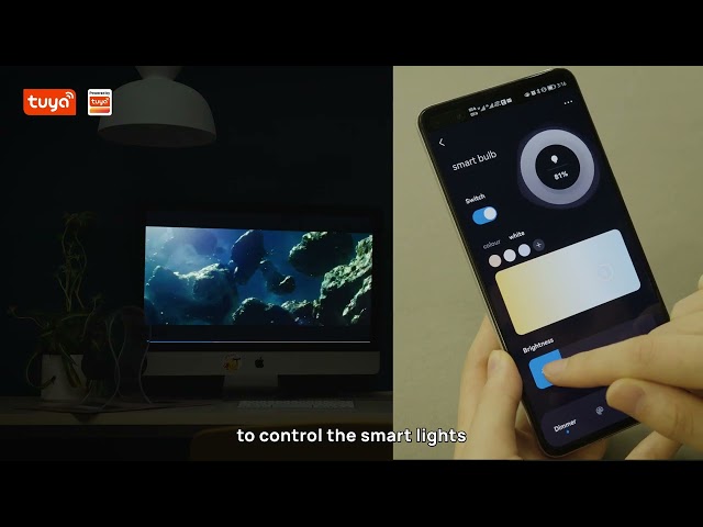 Tuya Smart Switch Compatible with Smart Lighting