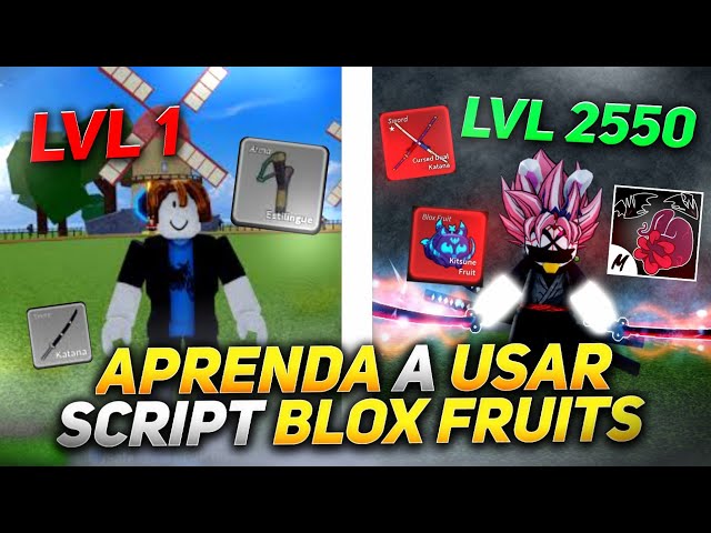 How to USE the SCRIPT BLOX FRUITS FUNCTIONS - CLASS 1