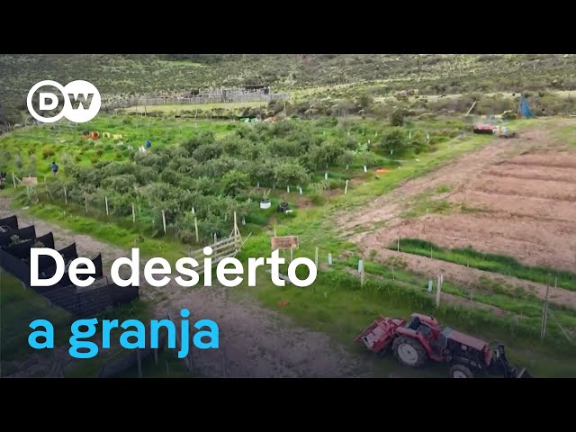 How to create a sustainable farm in an arid region of Chile