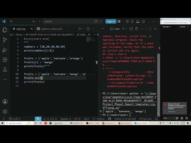Adding and Removing elements |clear concept| Python
