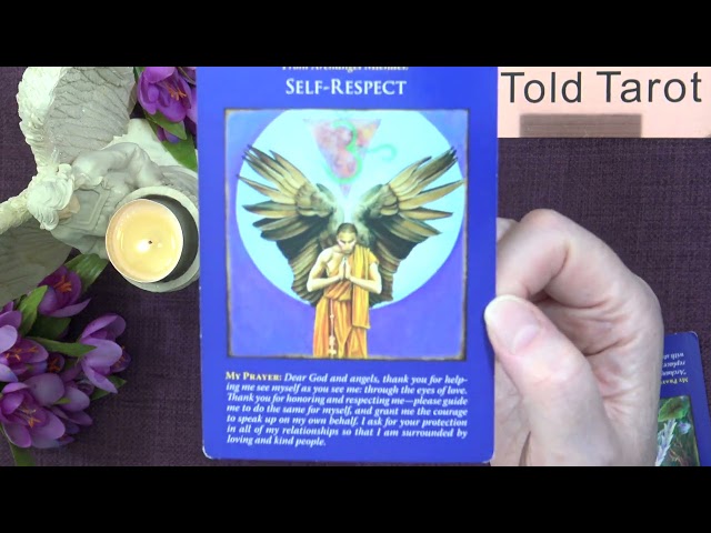 Your Daily Angel Message - A Little Angel Message — What the Angels Want You to Know Today ✨