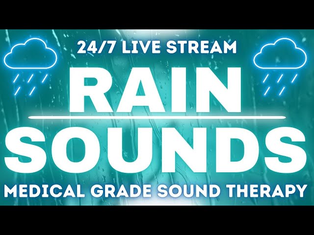 24/7 Forest Sphere Rain Sounds | Medical Grade Sleep Aid & Overstimulation Relief 🌧️