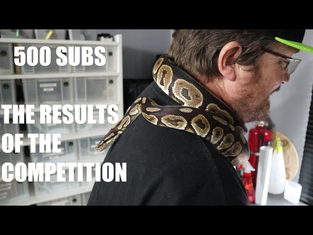 500 SUBSCRIBER COMPETITION - THE RESULTS and Free Ball Python Giveaway plus more prizes.
