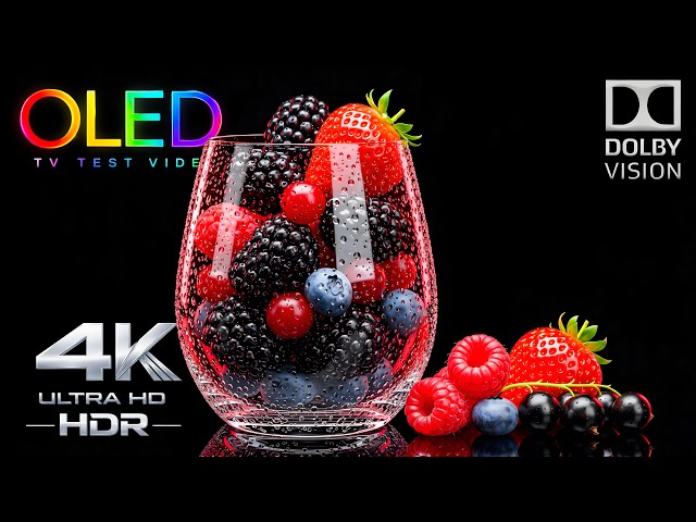 Pushing OLED to the Absolute LIMIT 📈 | True 4K HDR 240FPS Dolby Vision (4K TV Test)