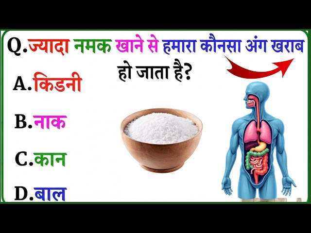 GK Question lI GK In Hindi lI GK Questionand Answer lI GK Quiz ll General KnowledgeQuestions Video