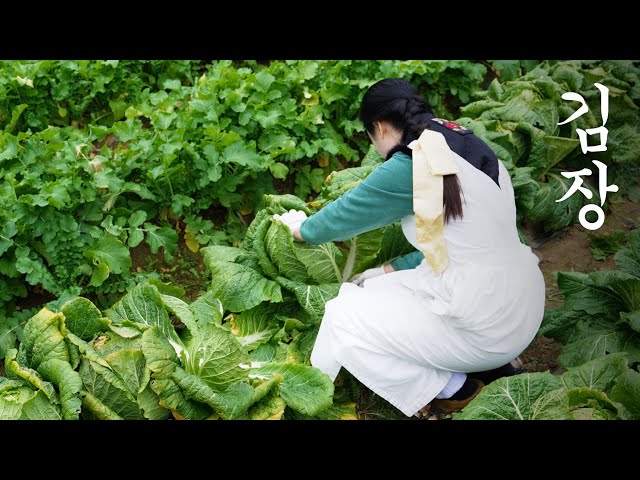 Kimchi making day 🥬 | Storing kimchi in a buried crock 🌶 ️