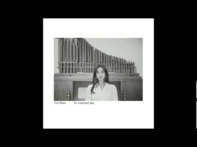 Kali Malone - The Sacrificial Code (Full Album) [iDEAL Recordings]