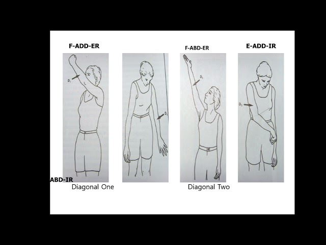 Techniques of PNF by Dr Kirti Chhabra| Physiotherapy|RPIIMS