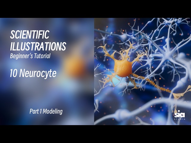 Beginner C4D Tutorial for Scientific Visualization | 3D Modeling Guide | 10 Neurocyte Neuron