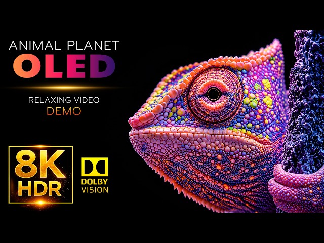 Extreme 16K Details HDR Display Test | 120FPS Nature Animals OLED Showcase for 4K & 8K TV