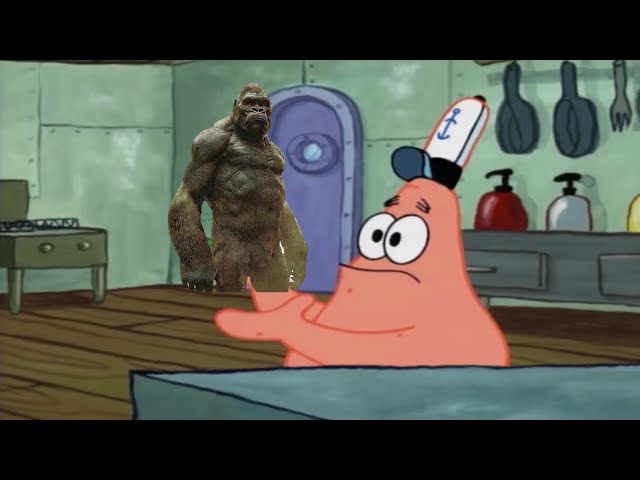 Patrick that's a kong !