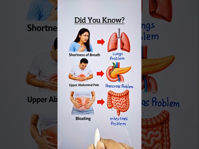 Important Health Knowledge 👨‍🏫🔥 #education #healthknowledge #shorts
