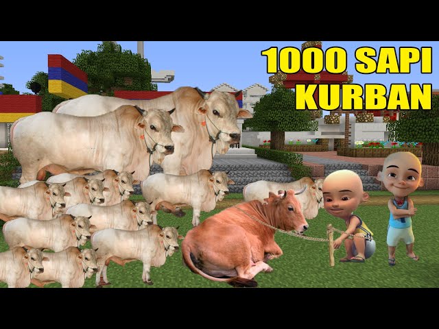 UPIIN BELI 1000 SAPI KURBAN?!