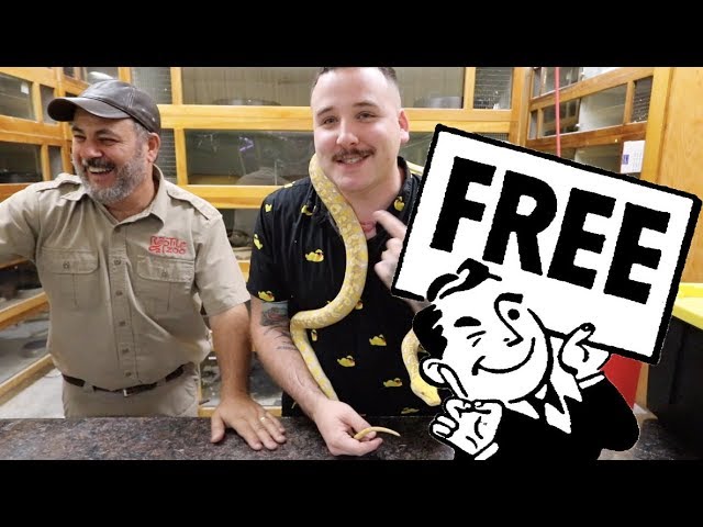 INSANE BABY SNAKES AND A GIVE AWAY WITH JAY BREWER FROM PRE HISTORIC PETS!!! (vlog 92)