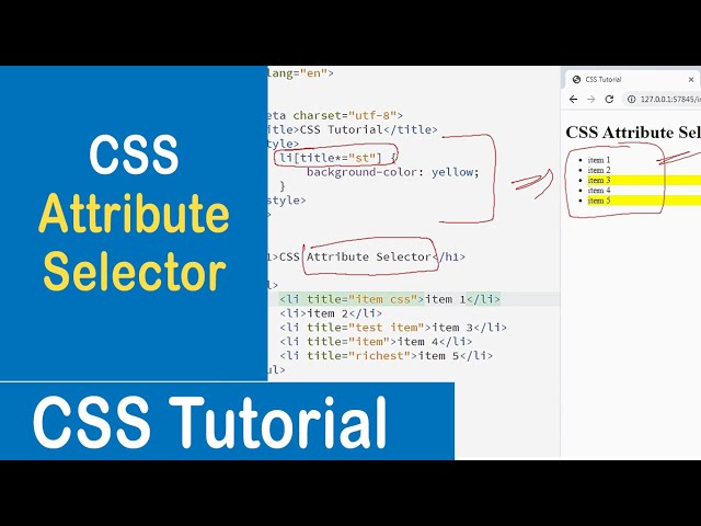 #36 CSS Attribute Selector | CSS Tutorial