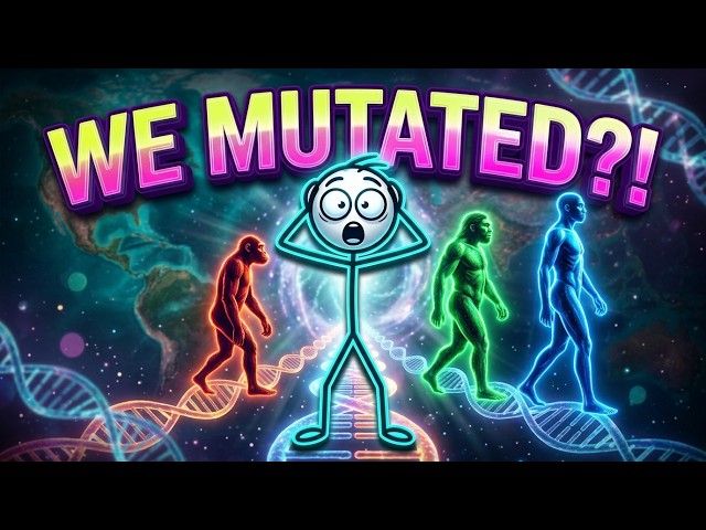 What is evolution and types of humans