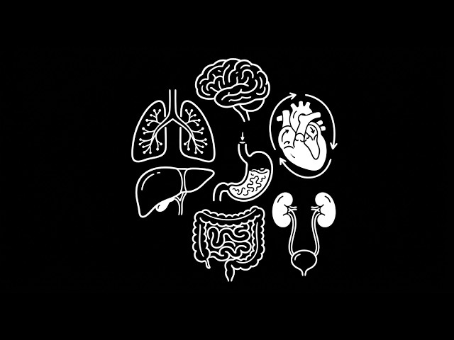 Why Your Extracellular Matrix is One of Your Keys to Longevity