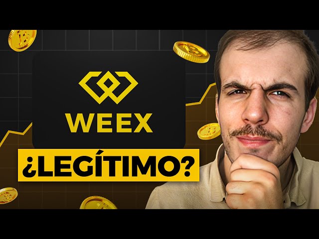 WEEX: Scam or Legit? / Complete Analysis of a Non-KYC Exchange