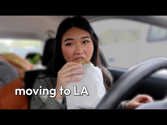 i moved to LA alone because im impulsive | moving vlog + studio tour