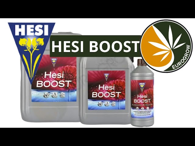 HESI BOOST fertilizante para cogollos GORDÍSIMOS || @eurogrow2926