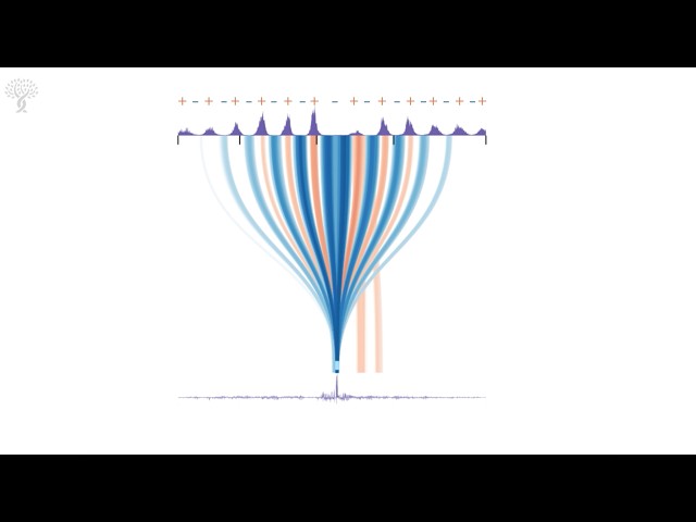 How PISA reveals what deep learning models see in DNA