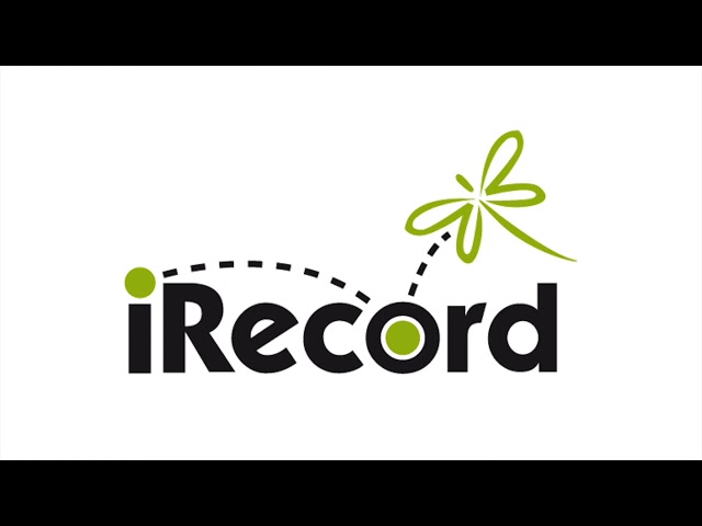 How to observe wildlife: iRecord