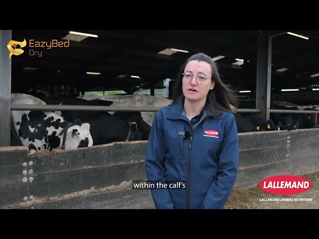 EazyBed Dry: An Easy Solution for Bedding Management