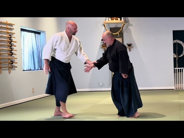 Aikido: Vectoring Rebounding Force Through Uke's Center of Gravity