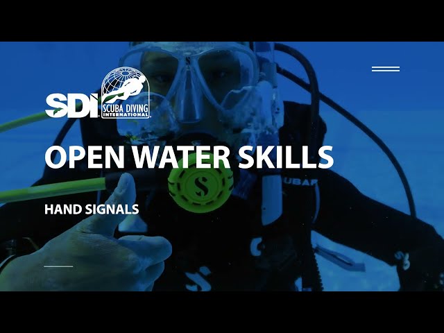 How To Do Common Scuba Diving Hand Signals - SDI Open Water Skills