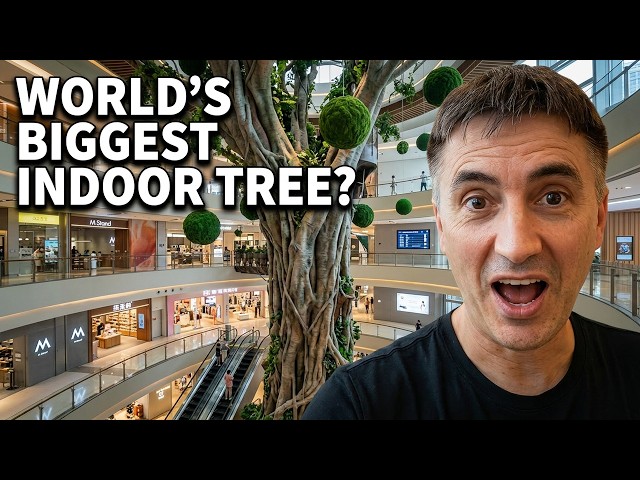 Inside the Strangest Shopping Mall in China | The Wonder Tree Phenomenon