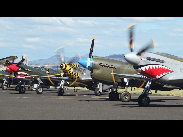 Piston Symphony — 13 WWII Warbirds Roar in Formation