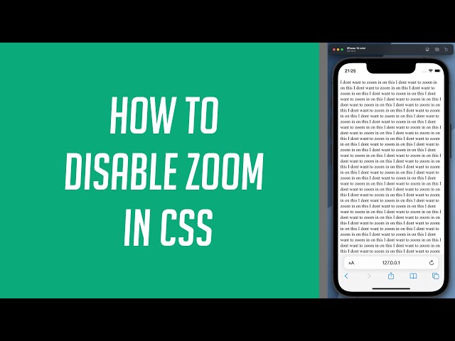 How to disable Zoom in CSS