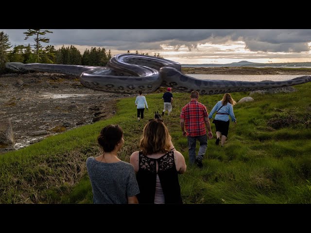 The 10 Biggest Snakes Ever