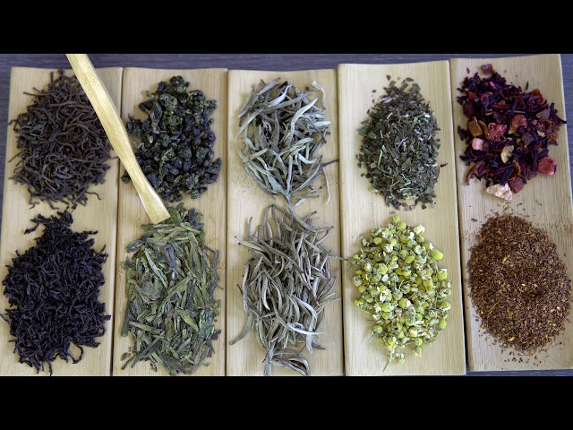 What is tea? - Differences between the various types of tea and other infusions.