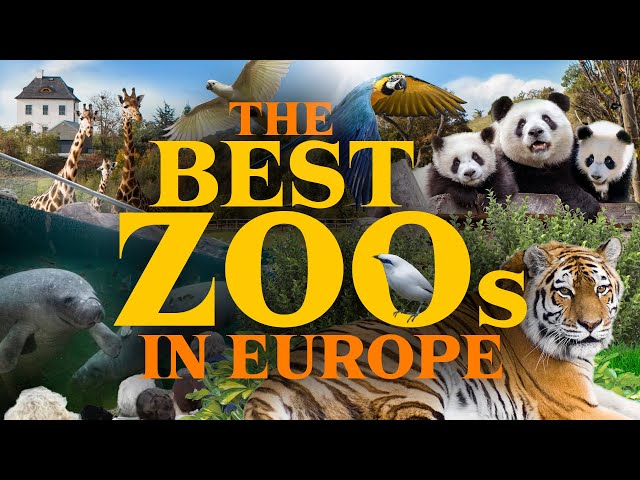 The Top 10 best Zoos in Europe!