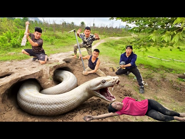Brave Hunters Rescue a Girl from a Ferocious Giant White Python
