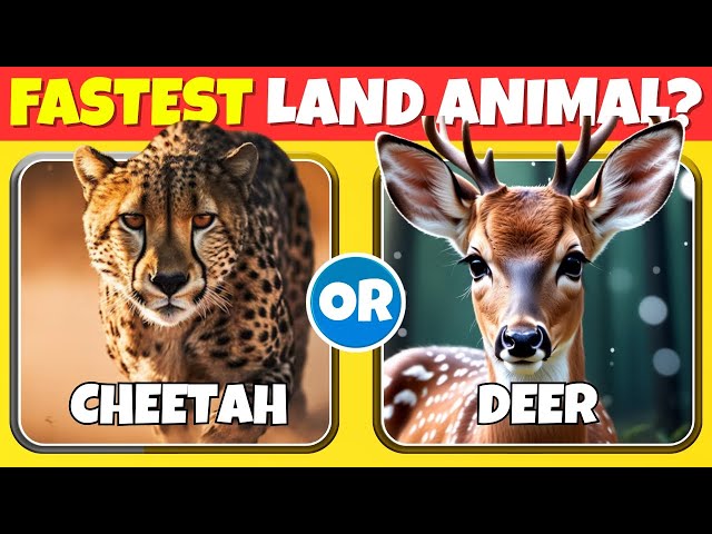 Ultimate Animal General Knowledge Quiz Challenge | 50 Questions and 5 seconds