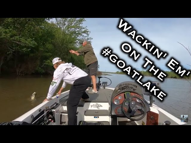 Lake Fork Spring Bass Fishing: Wackin' Em' On Plastic Worms!!!
