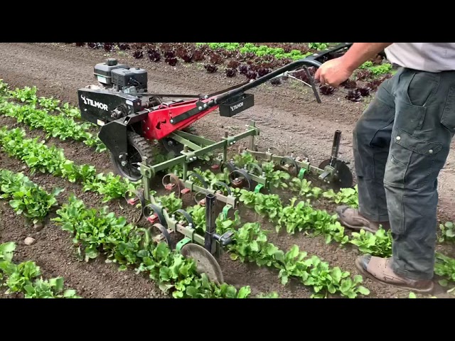 Tilmor Power Ox has some serious pulling power