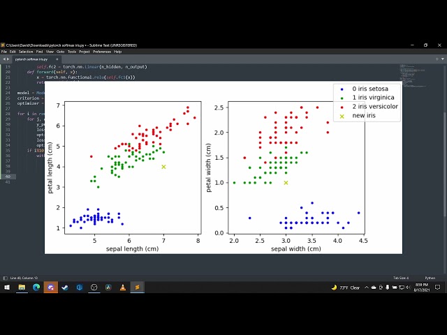 Classifier Neural Network with PyTorch